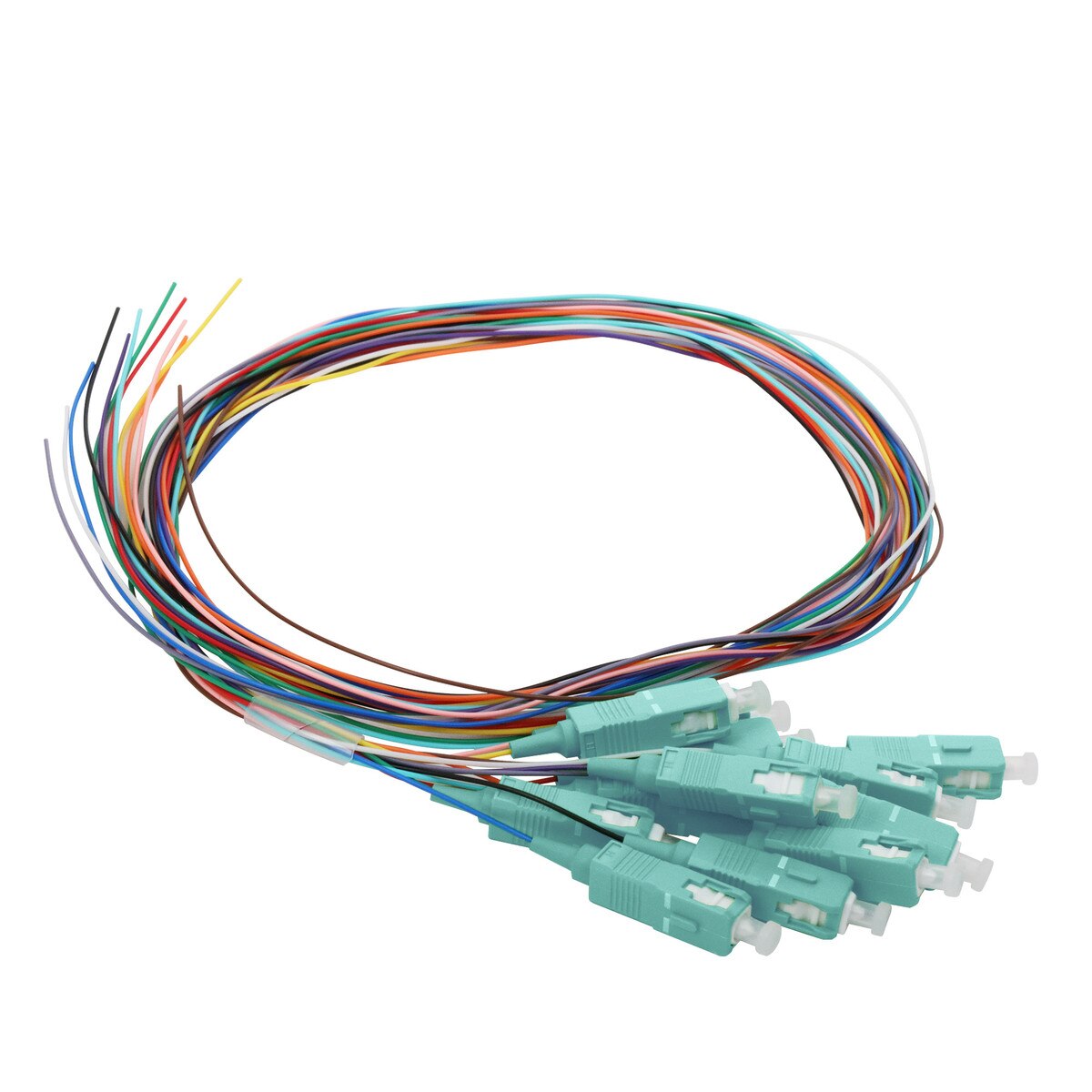 12 Fiber Pigtail, SC/UPC, 900 µm, 50 µm OM3-4, 1m